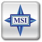MSI